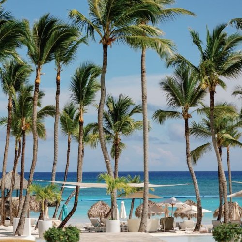 eden_roc_alexaadam_wedding-34 eden_roc_alexaadam_wedding-34