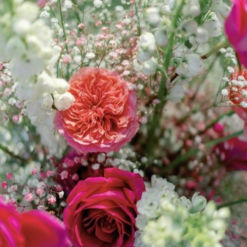 eden_roc_alexaadam_wedding-42 eden_roc_alexaadam_wedding-42