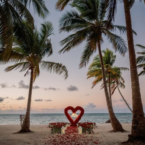 punta-cana-proposal-9