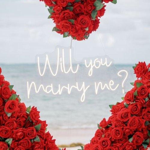 punta-cana-proposal-4