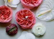 Avis sur l’agence Caribbean Wedding and Events